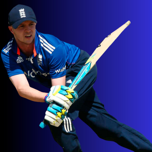 At w88cric you can bet on any official cricket match